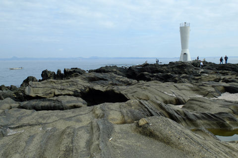 2 21 三浦 城ヶ島公園 スイセン 開花状況 満開 やや見頃過ぎ 花ぽたカメラ 2 21 三浦 城ヶ島公園 スイセン 開花状況 満開 やや見頃過ぎ 花ぽたカメラ