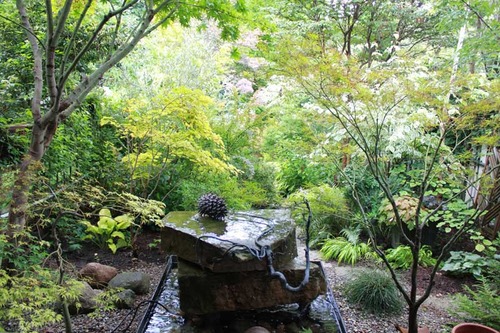 mgarden
