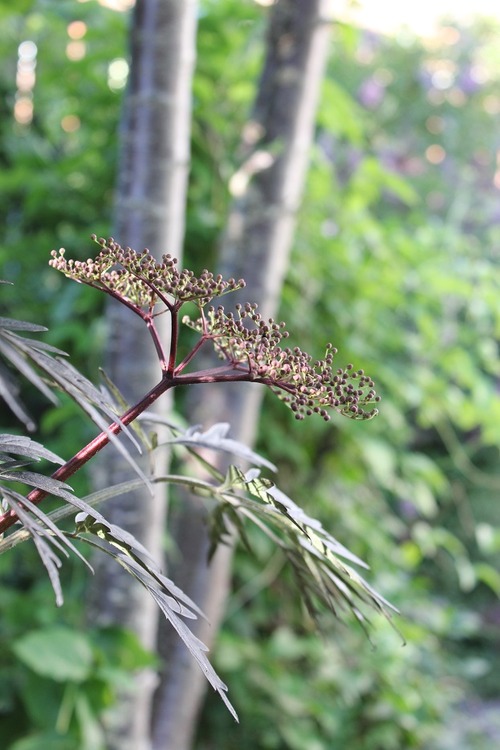 June8_ (1)