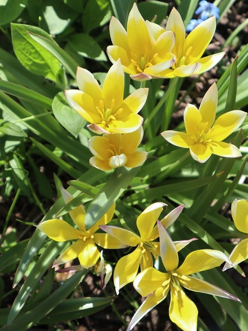 May13 (20)