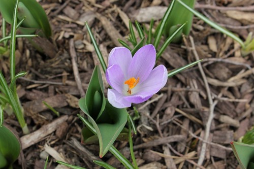 April26_crp