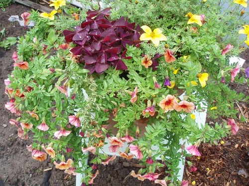 Sept22_planter
