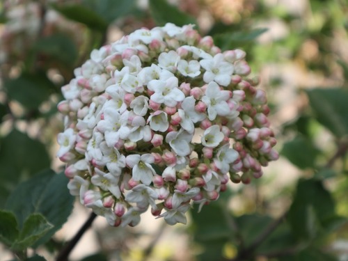 May23 (11)