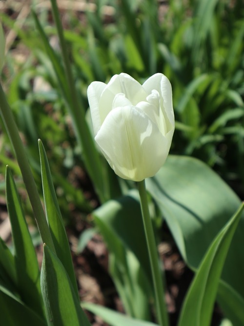 May13 (21)