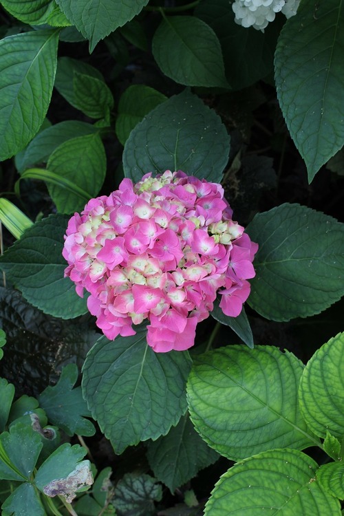 July22_ (29)