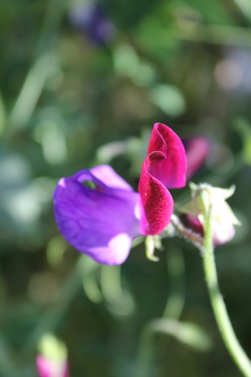 Oct1 (19)