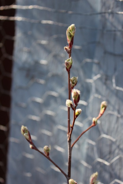 Apr22_sb