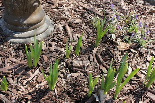 April20_obdam