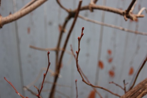 Feb6_bb