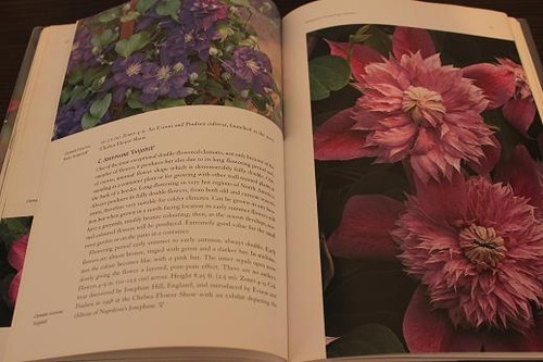 Book_Clematis2