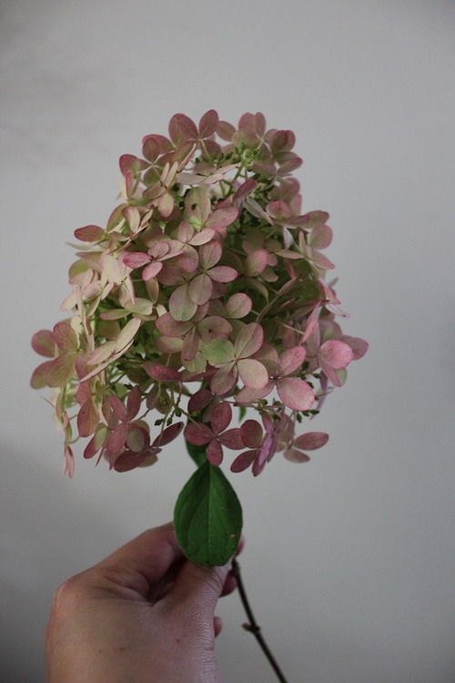 Oct22 (16)