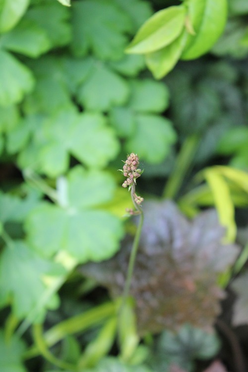 June10_ (13)