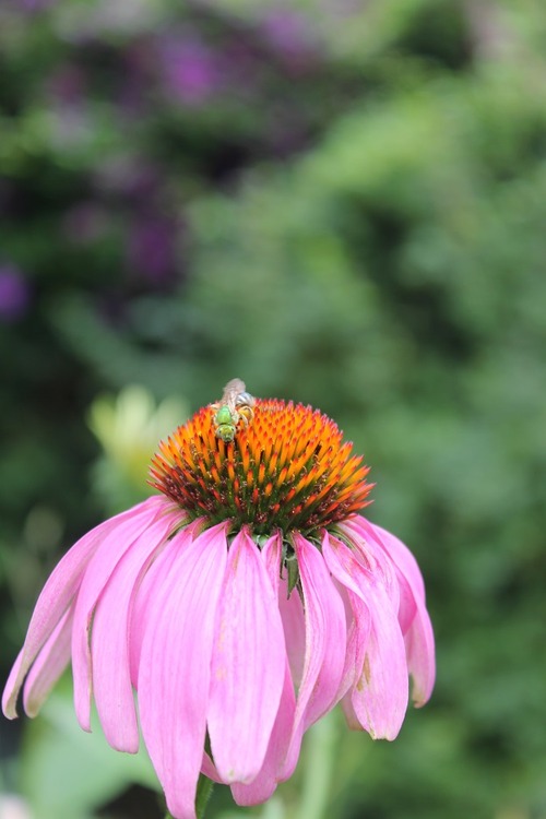 July22_ (74)