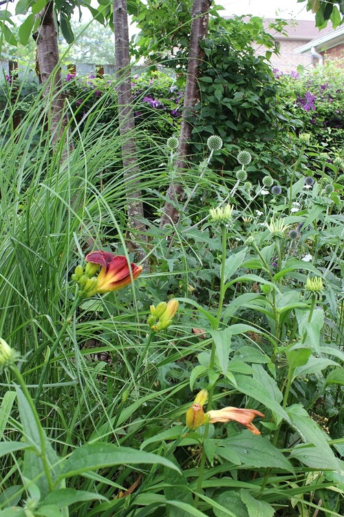 July14_ (56)
