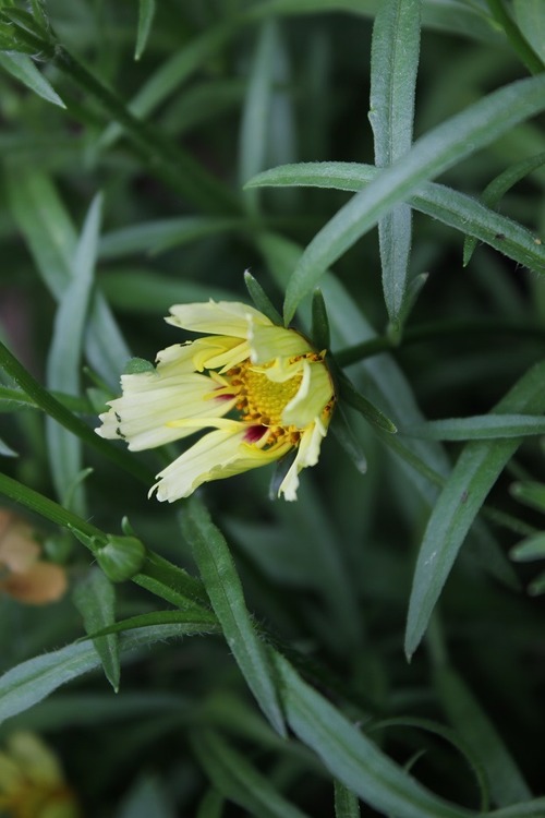 June17_ (156)