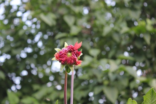 Aug15 (2)