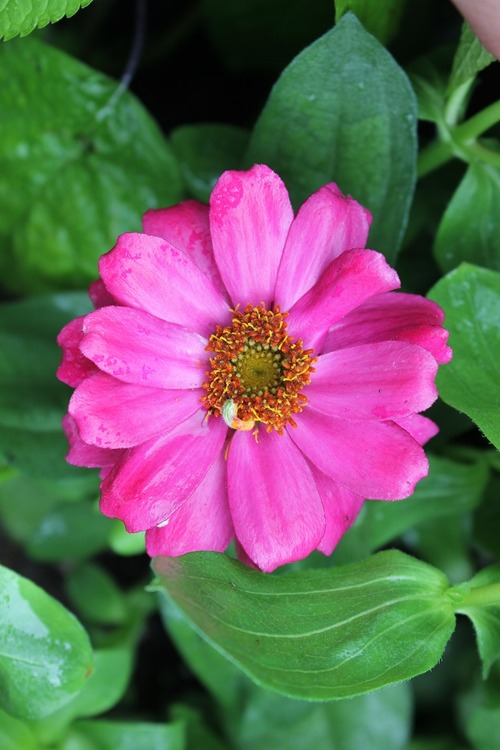 July1_ (1)