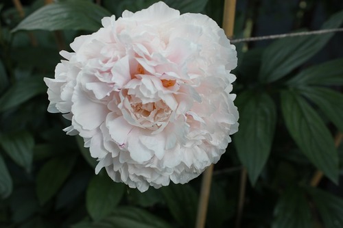 June24_ (50)