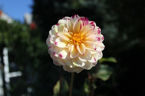 Oct9 (13)