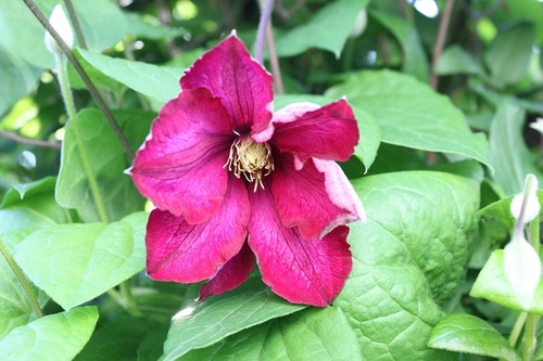 June8_ (4)