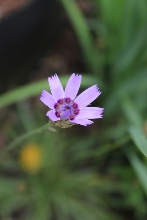 July14_ (58)