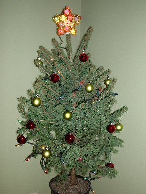 1f5d27c4.jpg