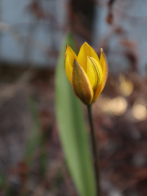 April30 (7)