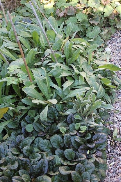Oct22_greens