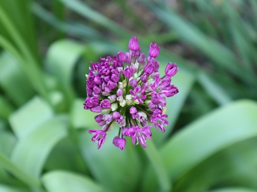 May23 (1)