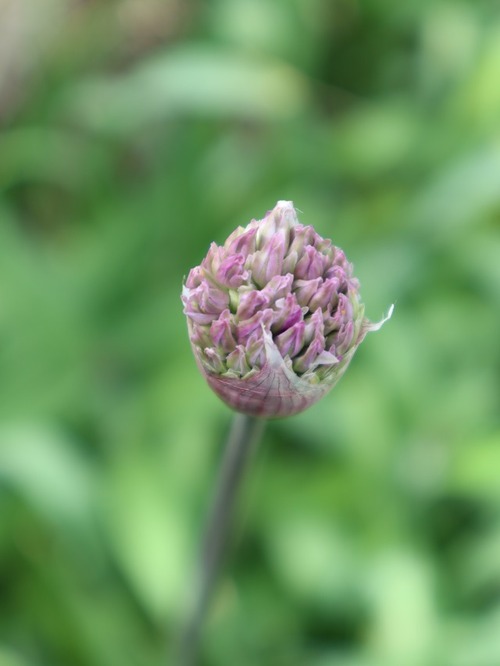 May21 (10)