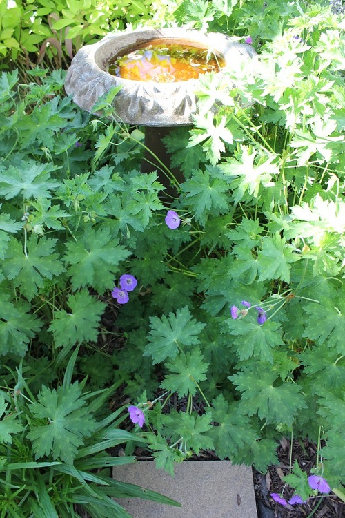 June24_ (62)