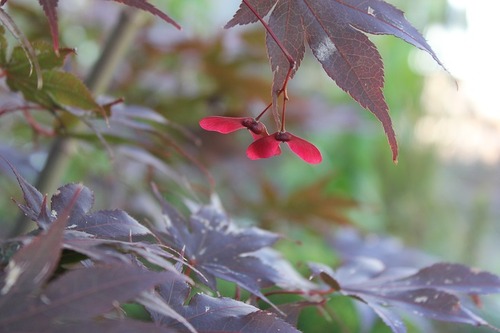 Oct9 (2)