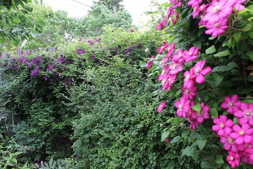 July14_ (34)s