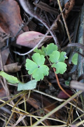 Nov28_abh