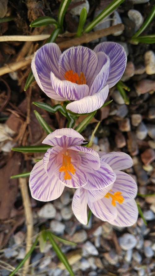 20180423_180615