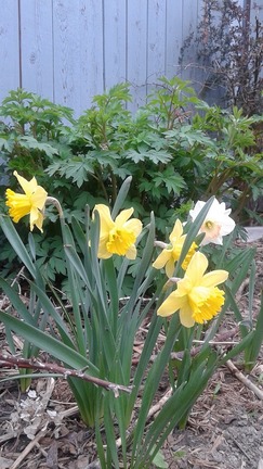 20150505_184831
