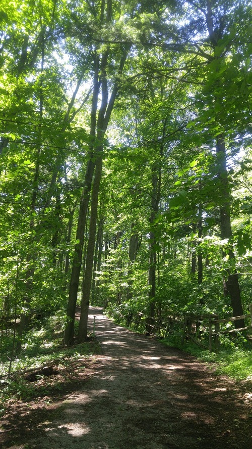 July8_Kortright (2)