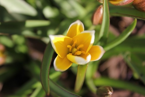 May3_ttarda1