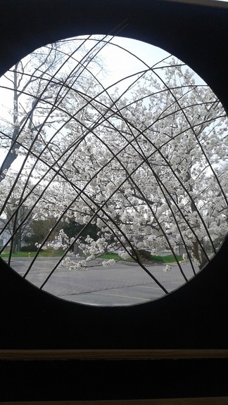 20150505_080340