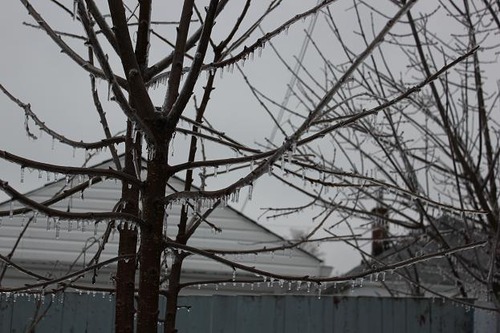 Dec21_2