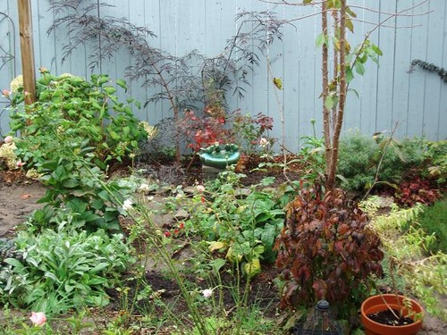 Oct14garden