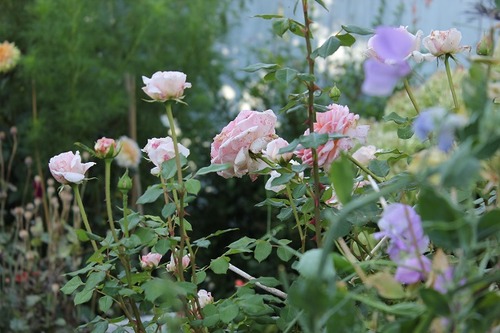 Aug23_rad3