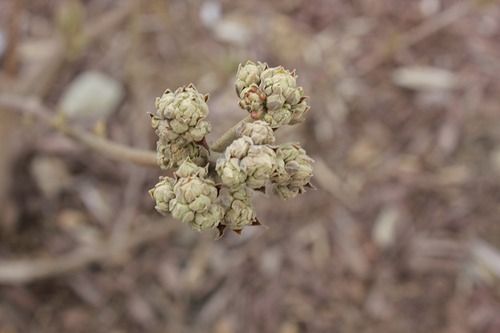 April26_fs