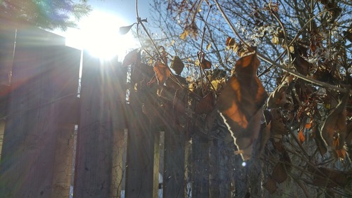 20171231_132747_HDR