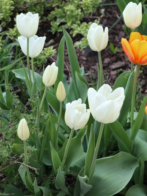 May14 (7)