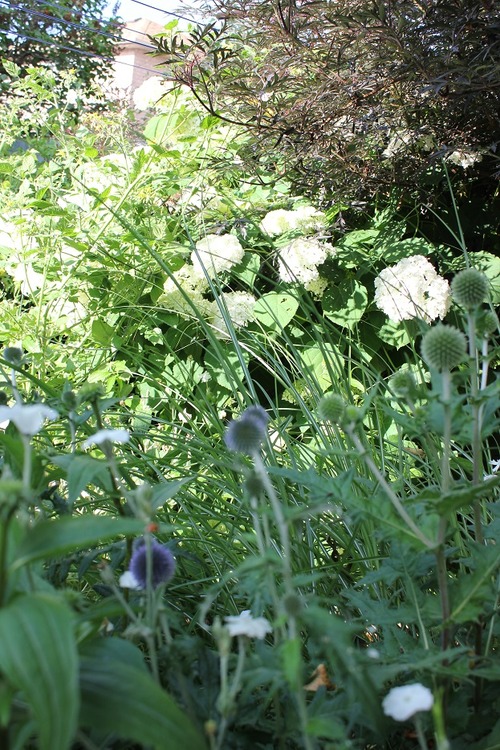 July8_ (51)