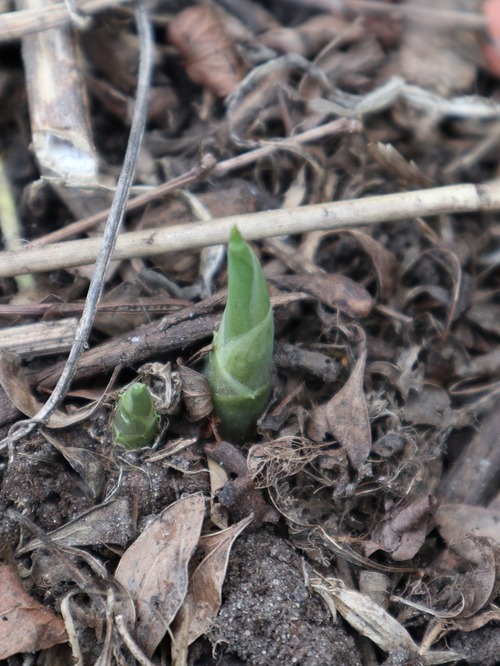 May2 (8)