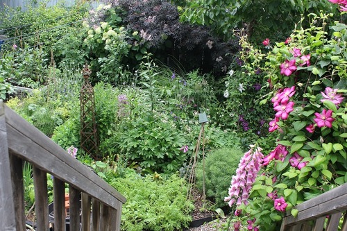 June25_ (9)