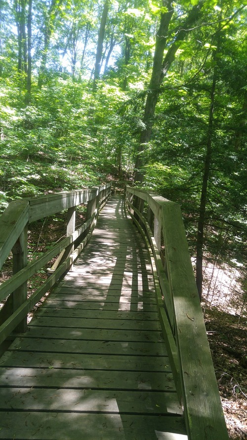 July8_Kortright (4)