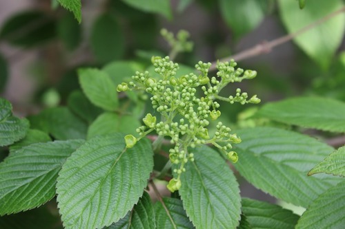 May22_vss
